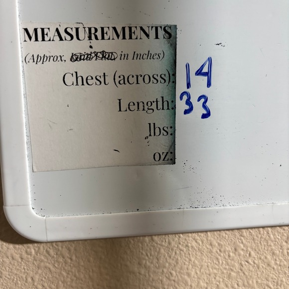 Cider Floral Mini Dress Ruffle Sleeve Tie Front Ruched Bodycon Yellow S Coquette - Picture 5 of 6